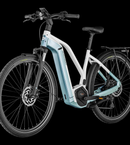 Bergamont E-Horizon LTD Premium Gent 2025 Bosch Performance 750Wh Shimano CUES 1x10 Trekking e-Bike