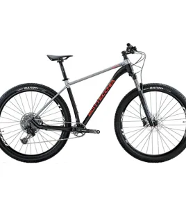 Bottecchia Gavia 29 2023 Hardtail Mountain Bike