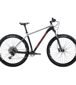 Bottecchia Gavia 29 2023 Hardtail Mountain Bike