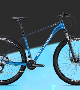 Bottecchia Gavia 29 2023 Hardtail Mountain Bike
