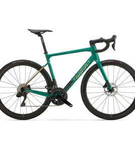 Wilier Garda Disc 2024 Carbon Endurance Road Bike – Shimano 105 Di2 12-Speed Integrated Performance