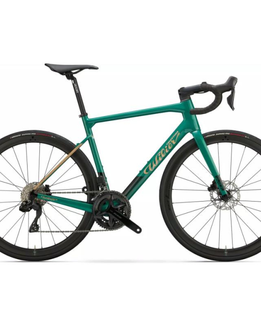 Wilier Garda Disc 2024 Carbon Endurance Road Bike – Shimano 105 Di2 12-Speed Integrated Performance