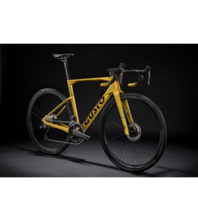 GUSTO GTR Sport TE 2024 Carbon Road Bike – Shimano 105 Di2 12-Speed Team Edition