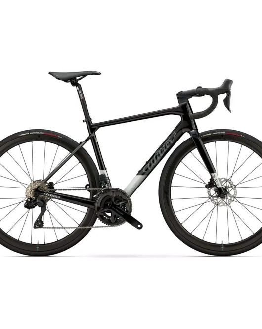 Wilier Triestina Garda Disc 2026 Carbon Endurance Road Bike – Shimano 105 / 105 Di2 12-Speed Integrated Performance